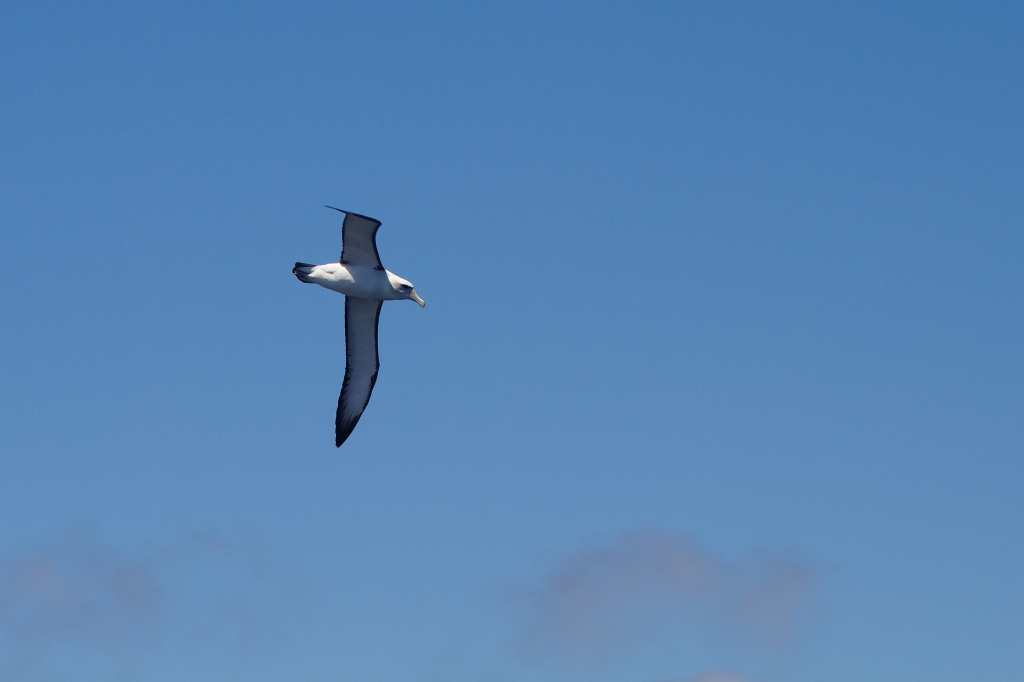 09 - Tasman NP (16).jpg